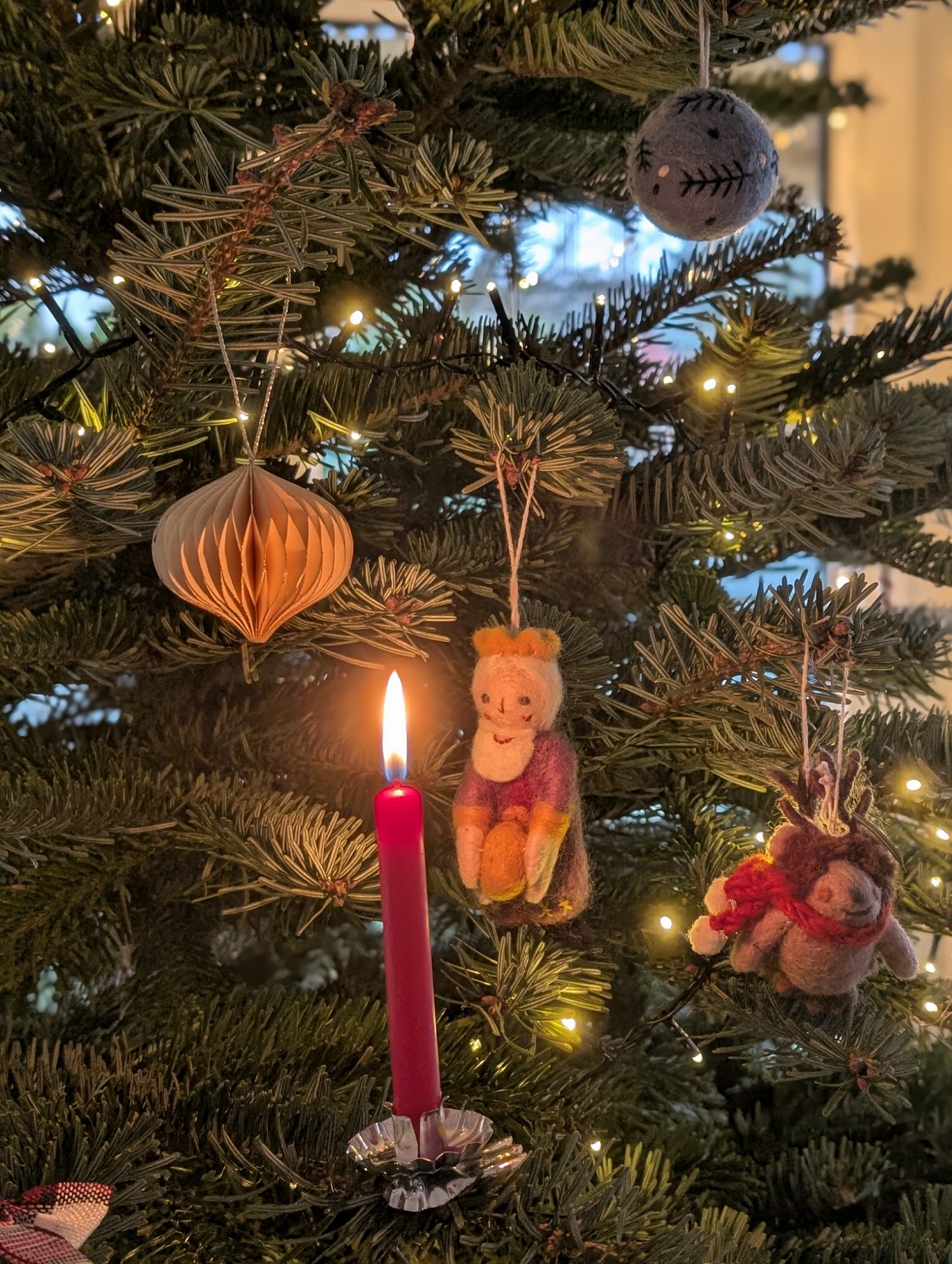 IMG 20251223 103015 1506 x 2000 pixel